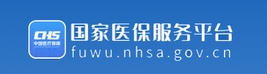 国家医保服务平台
